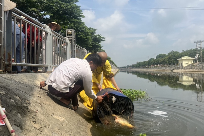 Charity in sowing blessing of Dong Cao Pagoda