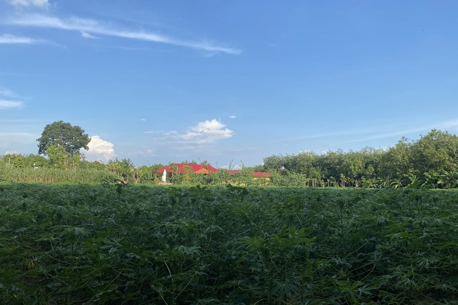 Periodic repentance ceremony at Suoi Phap Pagoda