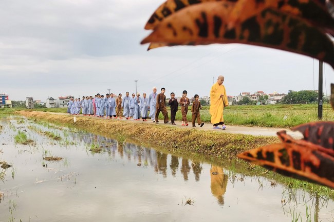 The 11th Retreat I have returned at Dong Cao Pagoda, Thanh Hoa