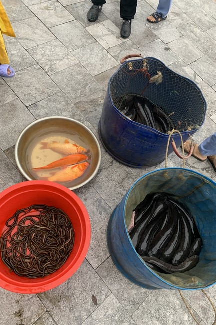 Chùa Đống Cao: Chương trình thiện sự trong tuần lễ Pháp Hội Vu Lan 2022