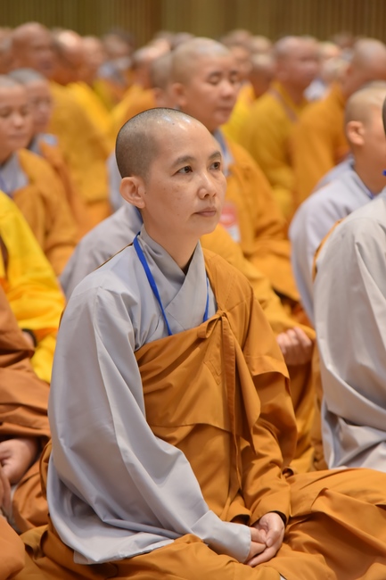 Dharma talk Good roots - blessing - conditions of Pure Land practitioners - The 97th Seven - Day Retreat - Part 1