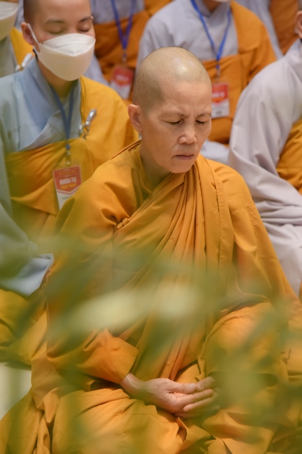 Dharma talk Good roots - blessing - conditions of Pure Land practitioners - The 97th Seven - Day Retreat - Part 1