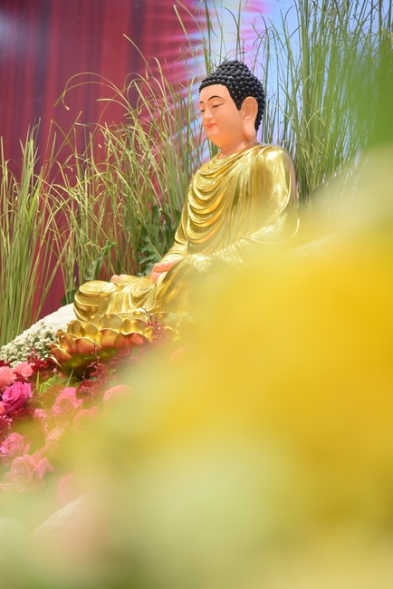 Dharma talk Good roots - blessing - conditions of Pure Land practitioners - The 97th Seven - Day Retreat - Part 1