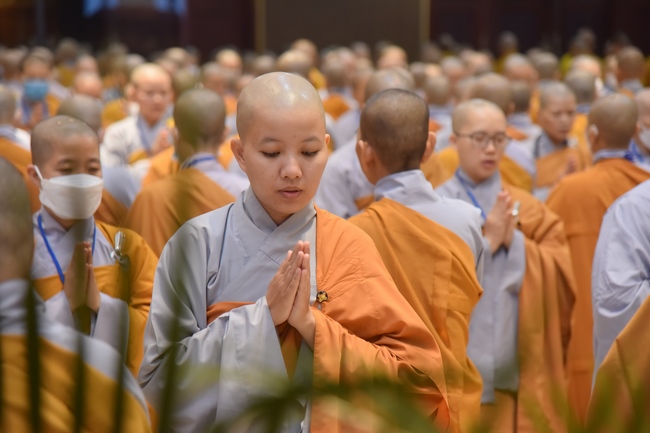 Dharma talk Good roots - blessing - conditions of Pure Land practitioners - The 97th Seven - Day Retreat - Part 1