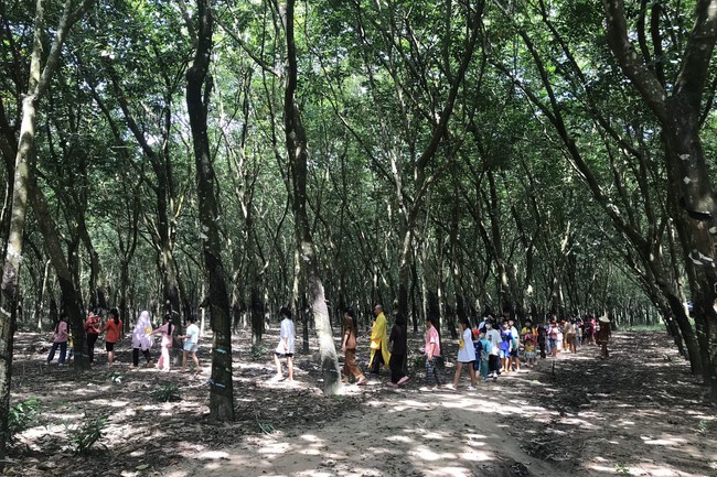 Kid Playground at Suoi Phap Pagoda