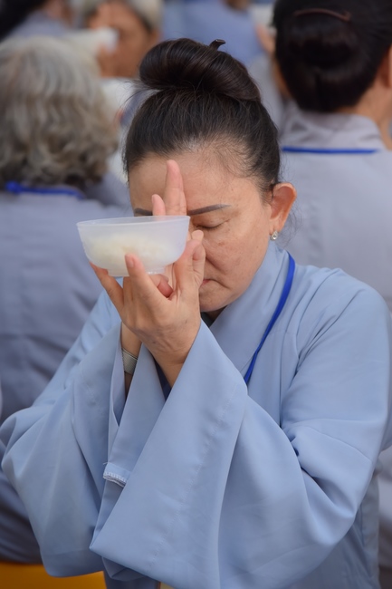 Dharma talk Good roots - blessing - conditions of Pure Land practitioners - The 97 th Seven-day Retreat - Part 2