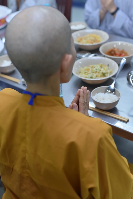 Dharma talk Good roots - blessing - conditions of Pure Land practitioners - The 97 th Seven-day Retreat - Part 2