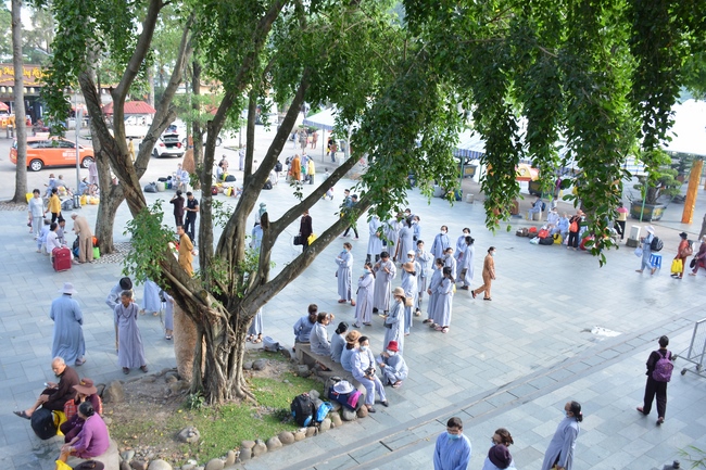 Dharma talk “sharing experiences of practicing” by Most Thich Minh Thong - The 97 th Seven-day Retreat