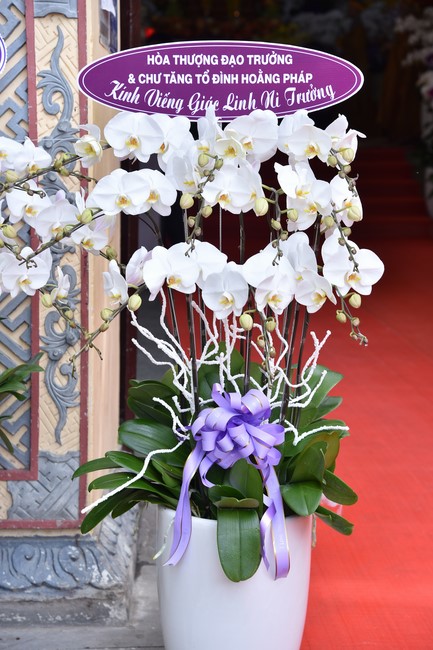 Ritual of visiting and offering homage to the Master of Nuns Thich Nu Nhu Giac