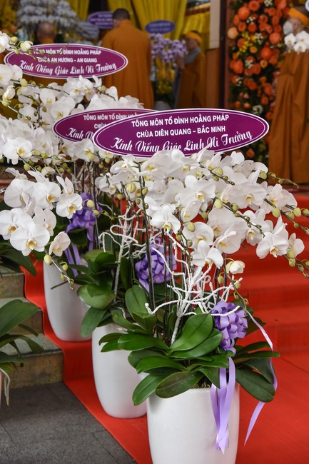 Ritual of visiting and offering homage to the Master of Nuns Thich Nu Nhu Giac