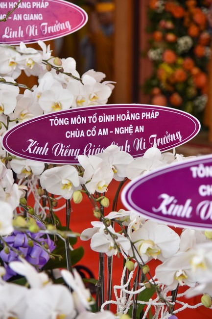 Ritual of visiting and offering homage to the Master of Nuns Thich Nu Nhu Giac