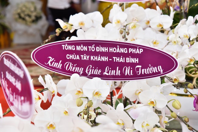 Ritual of visiting and offering homage to the Master of Nuns Thich Nu Nhu Giac