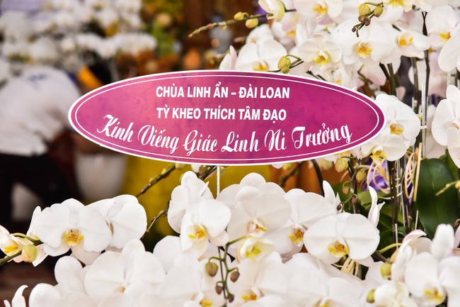 Ritual of visiting and offering homage to the Master of Nuns Thich Nu Nhu Giac