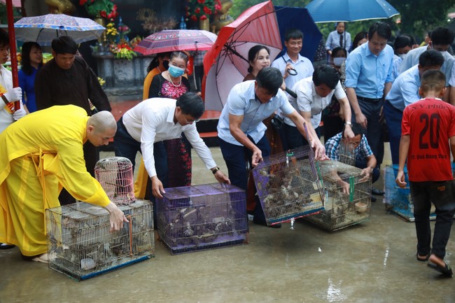 Đại lễ Vu Lan Báo Hiếu 2022 tại chùa Cổ Am, Nghệ An