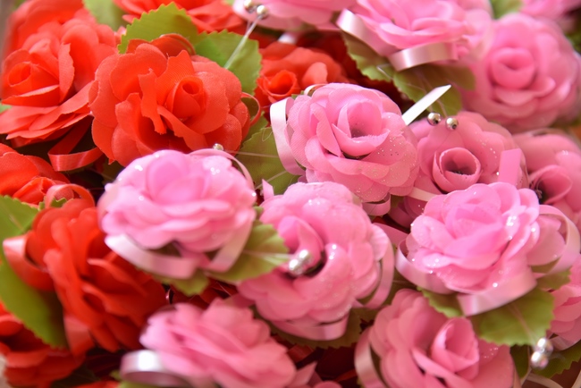 Ngày tu Sinh Viên Hướng Về Phật Pháp