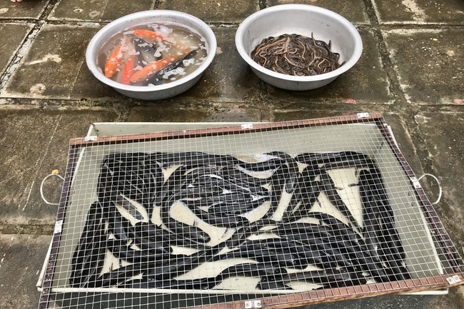 Mid-Autumn Festival for Kids Charity of Dong Cao rural Pagoda