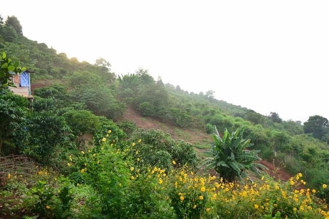 Charity program Mid-Autumn Festival for Kids in Dak Nong