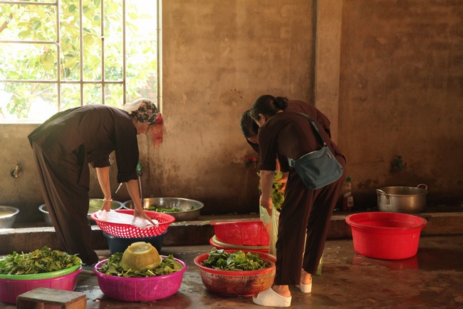 One- day Retreat at Giai Lam Pagoda - Ha Tinh