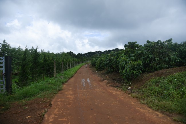 Chuyến thiện nguyện tại Đắk Nông