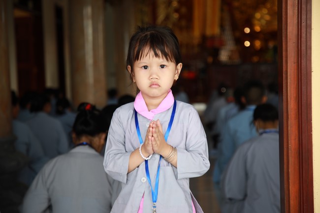 Chùa Cổ Am: Khóa tu “Tịnh Hóa Thân Tâm”