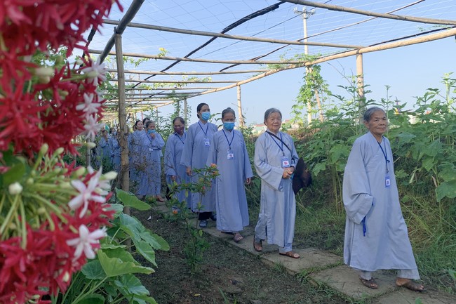 One - Day Retreat at Dong Cao pagoda