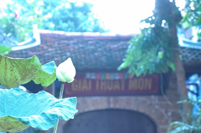 One-Day together peaceful Retreat on lunar August at Hoa Phuc Pagoda