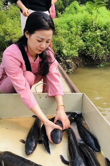 The charity program on Sep. at Dong Cao Pagoda