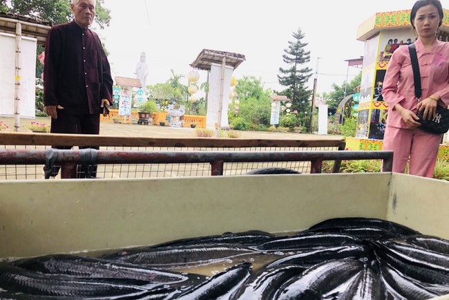 The charity program on Sep. at Dong Cao Pagoda