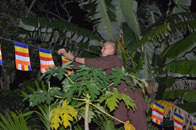 Abbot Appointment Ceremony of An Son Pagoda in Quang Ngai