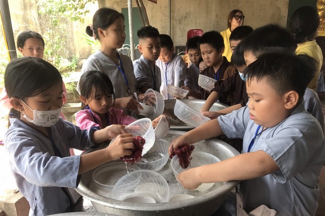 The 10th Lotus seeds Sowing Retreat at Dong Cao Pagoda