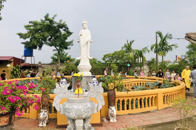 The 10th Lotus seeds Sowing Retreat at Dong Cao Pagoda