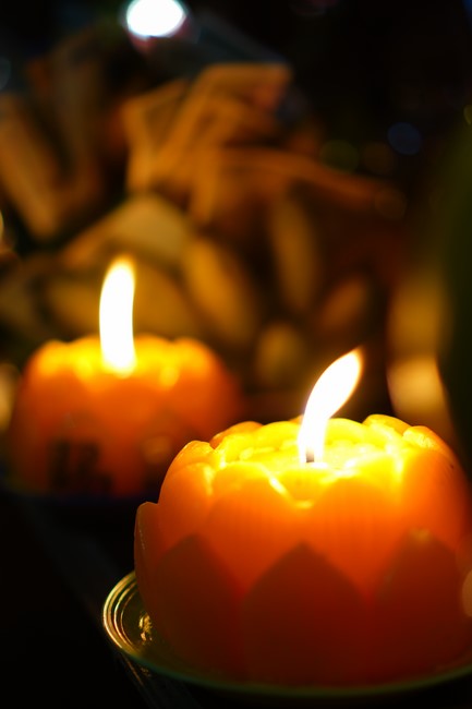 Three-Jewel Refuge Ceremony at Dai Co Viet Pagoda – Yen Bai