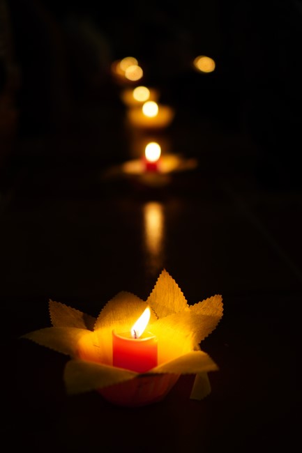 Three-Jewel Refuge Ceremony at Dai Co Viet Pagoda – Yen Bai