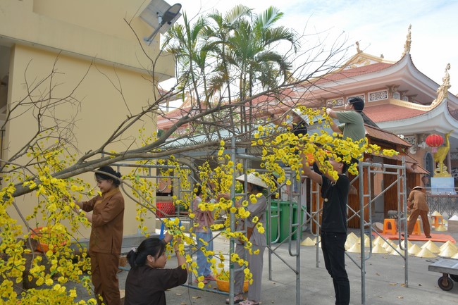 Preparation Activities to Welcome Year of Cat (part 3)