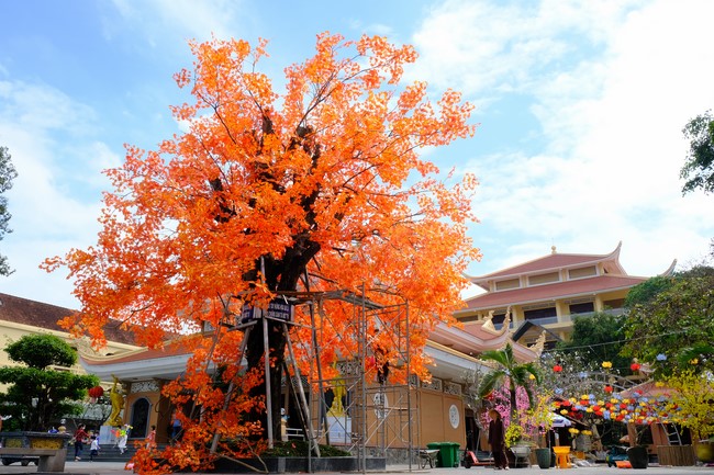 Preparation Activities to Welcome Year of Cat (part 3)