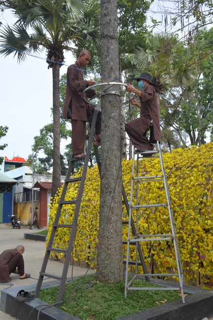 Preparation Activities to Welcome Year of Cat (part 3)