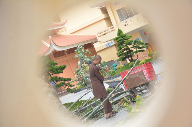 Preparation Activities to Welcome Year of Cat (part 3)