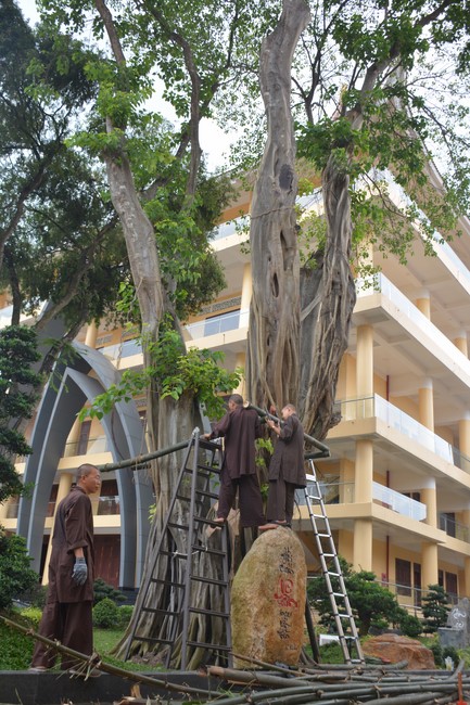 Preparation Activities to Welcome Year of Cat (part 3)