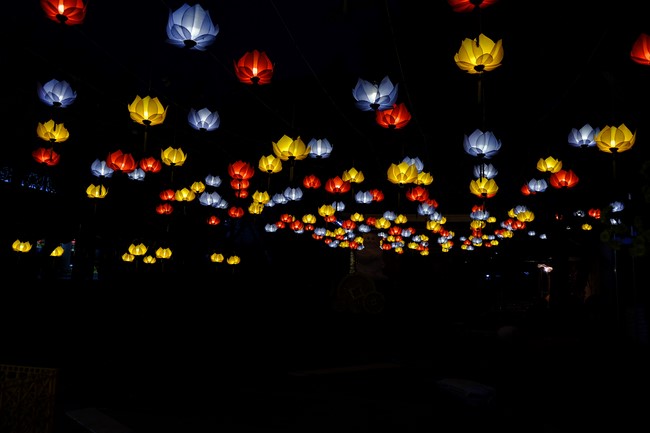 Preparation Activities to Welcome Year of Cat (part 3)