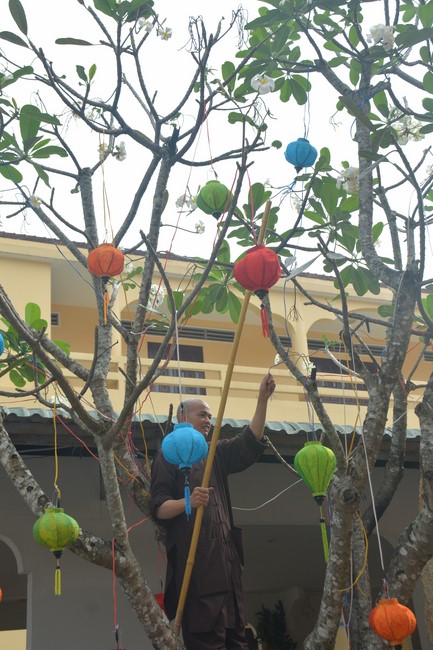 Preparation Activities to Welcome Year of Cat (part 3)