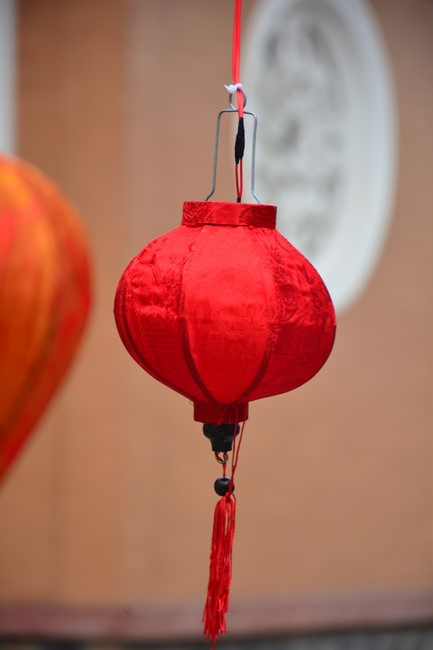 Preparation Activities to Welcome Year of Cat (part 3)