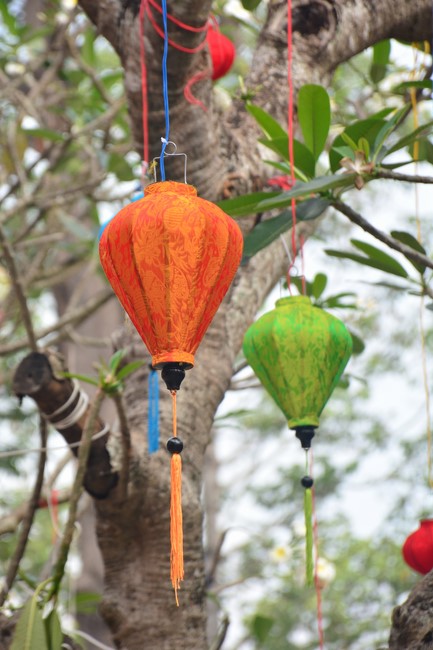 Preparation Activities to Welcome Year of Cat (part 3)