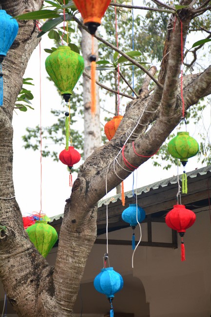 Preparation Activities to Welcome Year of Cat (part 3)