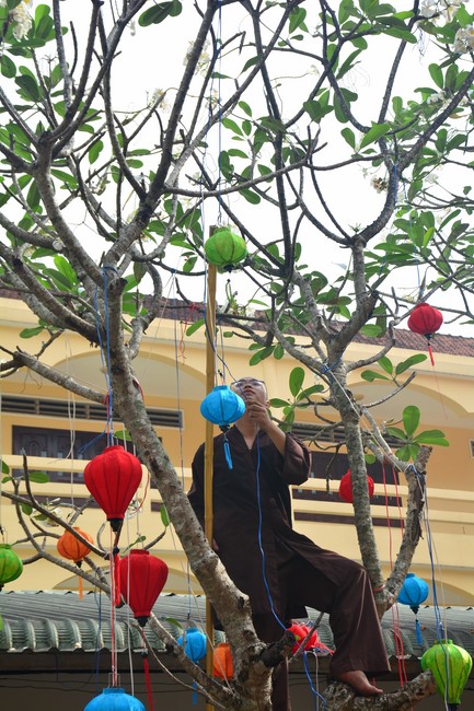 Preparation Activities to Welcome Year of Cat (part 3)