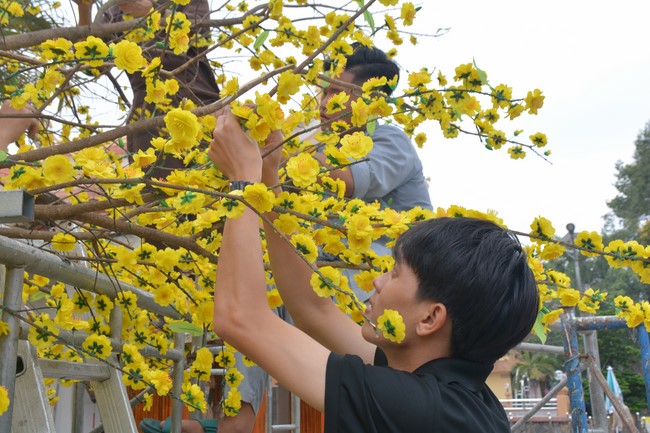 Preparation Activities to Welcome Year of Cat (part 3)