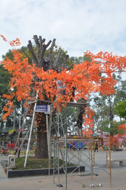 Preparation Activities to Welcome Year of Cat (part 3)