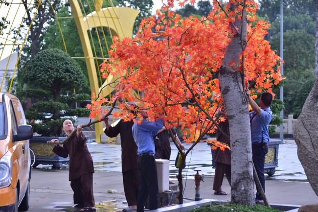 Preparation Activities to Welcome Year of Cat (part 3)