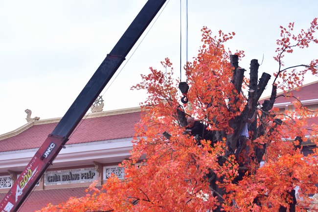 Preparation Activities to Welcome Year of Cat (part 3)