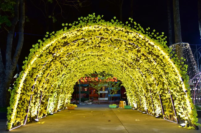 Preparation Activities to Welcome Year of Cat (part 3)