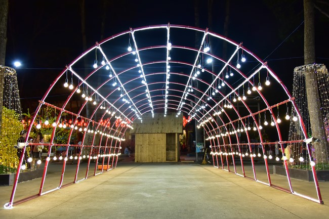 Preparation Activities to Welcome Year of Cat (part 3)